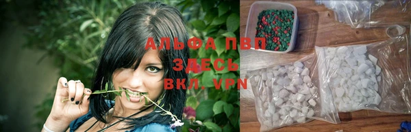 круглые Вязьма