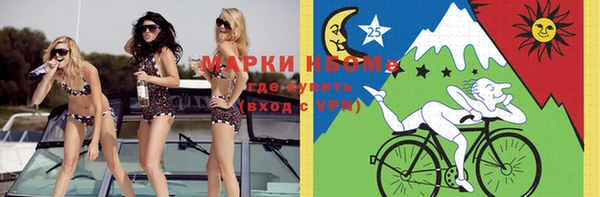 ПСИЛОЦИБИНОВЫЕ ГРИБЫ Вязники