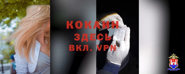 ПСИЛОЦИБИНОВЫЕ ГРИБЫ Вязники