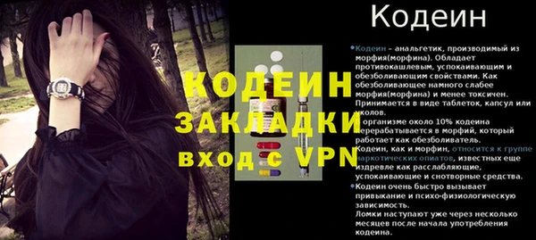 стафф Михайловск
