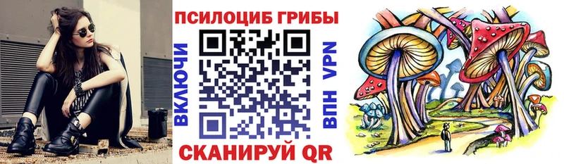 Псилоцибиновые грибы прущие грибы  Новосокольники 